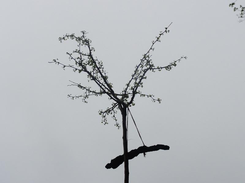 2012 05 12 B